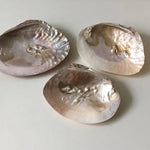 Bandeja De Armazenamento De Jóias Retro Natural Shell, Ins Adereços De Fotografia, itens Pequenos Armazenamento Ornamentos, Decoração De Casa