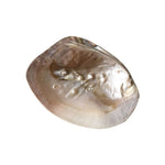 Bandeja De Armazenamento De Jóias Retro Natural Shell, Ins Adereços De Fotografia, itens Pequenos Armazenamento Ornamentos, Decoração De Casa