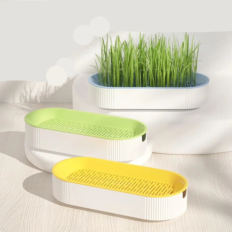 Hidropônico Solo Plantando Pot Set para Fácil Crescimento, Caixa De Grama, Cat Treats, Catnip