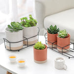 Bandeja De Cerâmica Criativa Pauzinhos, prateleira de mesa, planta em vaso, Pauzinhos domésticos Garfo Colher Caixa De Armazenamento, armazenamento De Lanches De Frutas