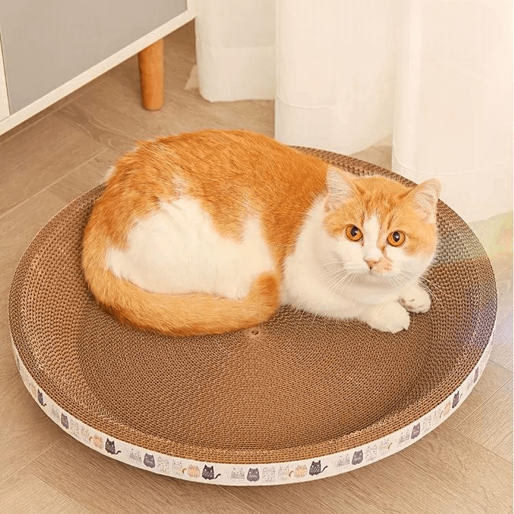Cama Arranhador para Gatos, Cama Para Gatos, Arranhador Decorativo, Arranhador Pet, Acessorios Para Gatos, Conforto Felino, Moveis Para gatos, Arranhador Ecologico, Cama e Arranhador 2 em 1, Arranhador Duravel, Cama Gato Design, Cama Para Gato Multiuso, Loja Comprinha do Futuro