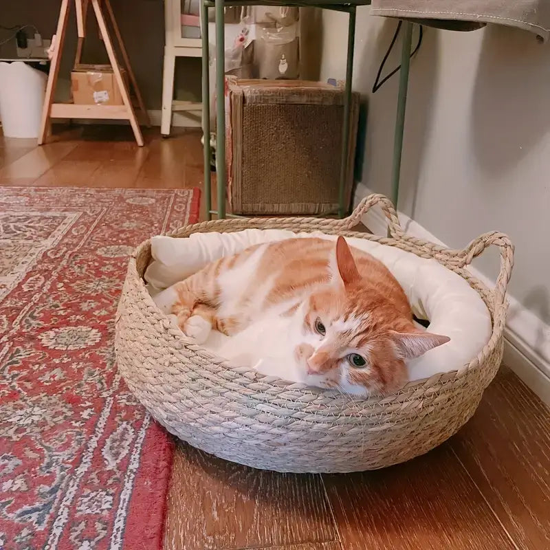 Cama para Gato Lúdica de Rattan