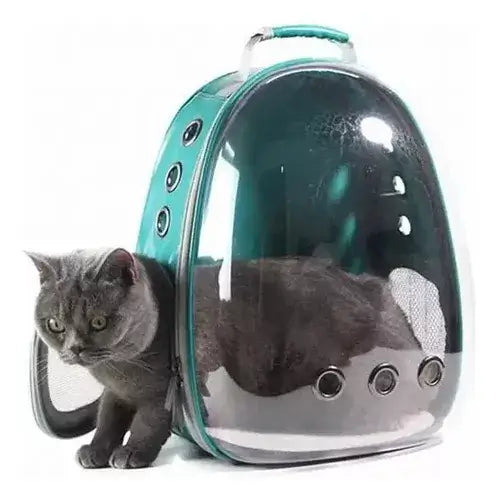 Mochila com frente transparente para transporte de gatos.