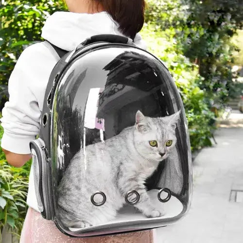 Mochila com frente transparente para transporte de gatos.