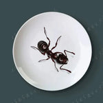 Bandeja decorativa de cerâmica-8 cabeças-para pendurar em parede