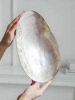 Concha Porta Joias Decoração Elegante