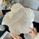 Ahinderjiaz-Bandeja De Flor De Cristal Nórdico, Placa De Salada De Frutas De Vidro Simples, INS Household Fashion Tableware Set, Home Acessórios