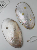 Concha Porta Joias Decoração Elegante