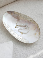 Concha Porta Joias Decoração Elegante