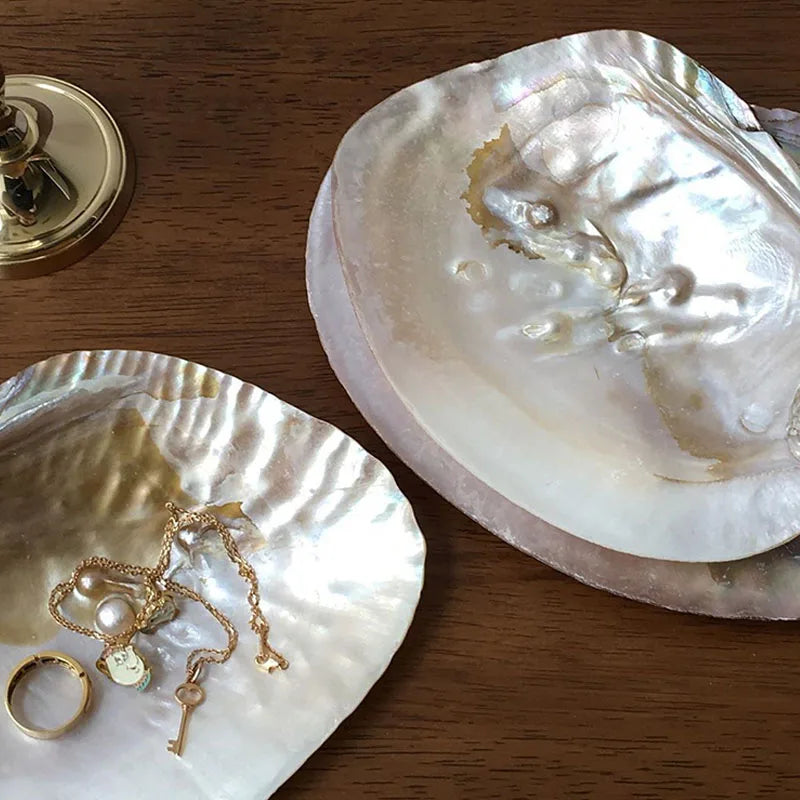 Bandeja De Armazenamento De Jóias Retro Natural Shell, Ins Adereços De Fotografia, itens Pequenos Armazenamento Ornamentos, Decoração De Casa