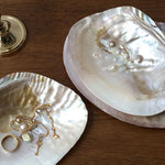 Bandeja De Armazenamento De Jóias Retro Natural Shell, Ins Adereços De Fotografia, itens Pequenos Armazenamento Ornamentos, Decoração De Casa