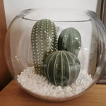 Nordic Ceramic Handicraft Simulation Cactus Ornaments, Arte criativa, Mobiliário doméstico decorativo, Adereços de fotografia, Green Room Decor