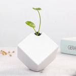 Faiança Flower Ware Vaso cerâmico, recipiente hidropônico japonês, ornamento doméstico vintage, mesa de jantar da sala de estar preto e branco