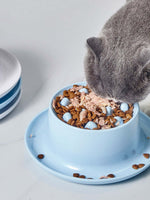 Comedouro ergonômico para cães e gatos com design próprio para alimentação lenta. Comedouro Lento e Ergonômico Para Cães e Gatos, Tigela para Ração, Tigela para Animais de Estimação, Tigela Ergonômica para Pets, Tigela Alta para Pets, Pote para Ração, Pote para Alimentação Lenta, Comedouro para Pets, Comedouro Lento Para Pets, Comedouro Ergonômico, Comedouro Labirinto, Pote de Ração Labirinto, Loja Comprinha do Futuro