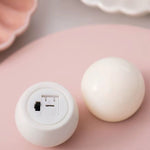 Luminária de Concha Marinha Decorativa