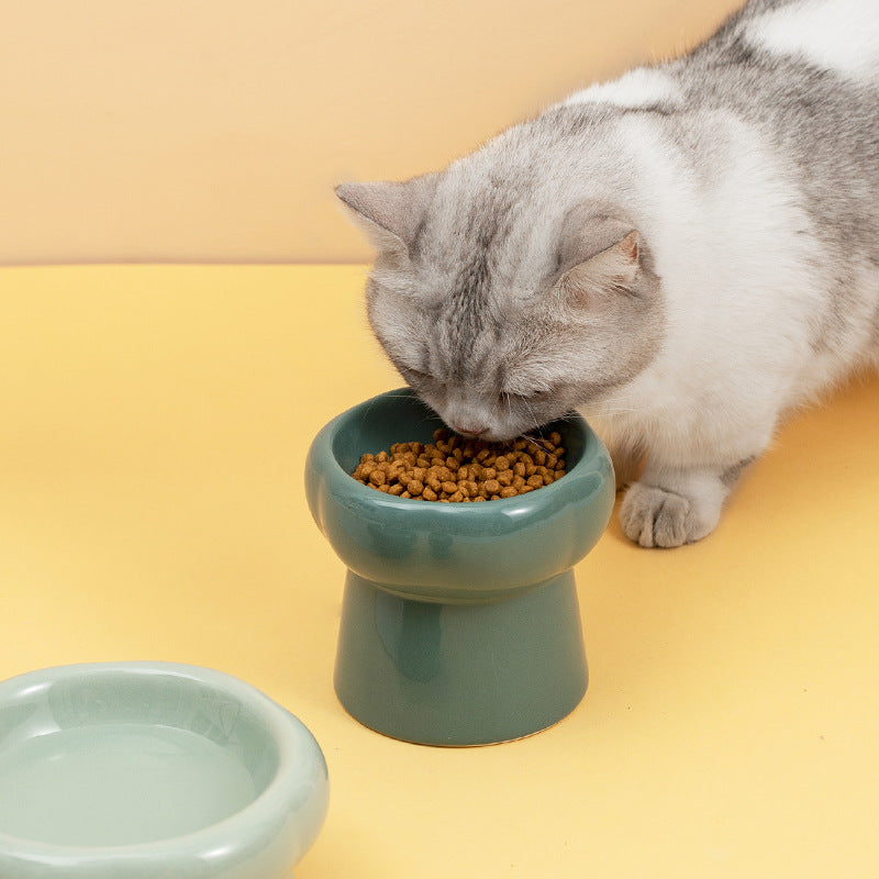 Comedouro Ergonômico de Cerâmica Cães e Gatos